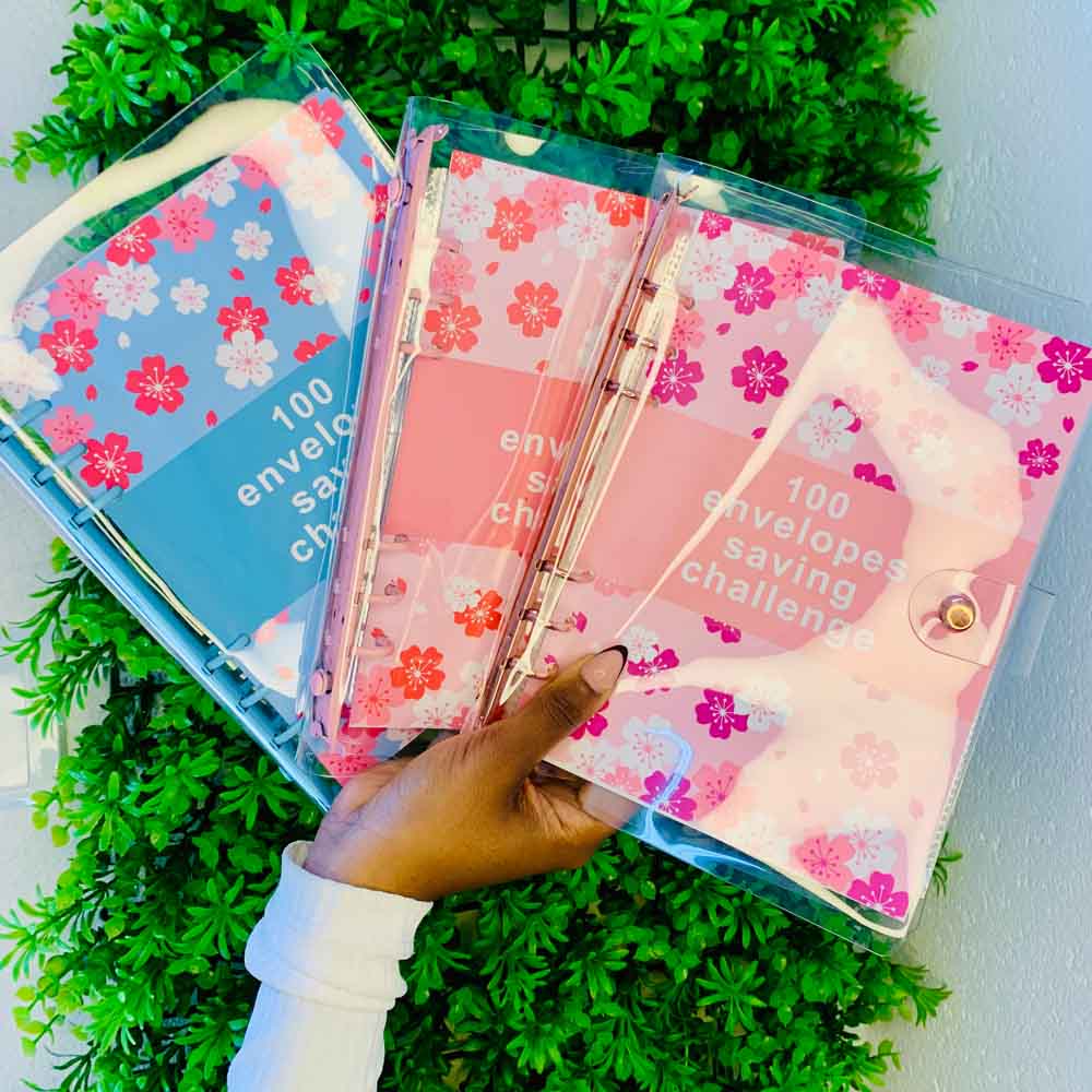 100 Envelopes Saving Challenge